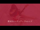 キャンディアップルレッド　/　ナクモ