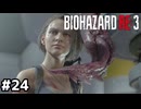 ペンライトみたいなワクチン【バイオハザード RE:3】#24