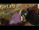 【ファイアーエムブレム無双】【リョナ】【カミラ】 ３０秒リョナPart３０７
