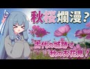 秋桜爛漫？古代の城跡で秋のお花見！【琴葉姉妹のお城さんぽ】