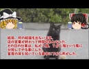 【怖い話】消えたＮ美【ゆっくり解説】29