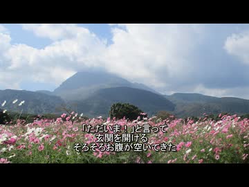 実家帰りの日常feat.ついなちゃん【秋のアップロード祭り2025】