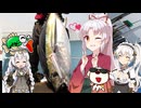 ついなちゃんと行くコラボ釣行part4