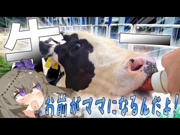 【VOICEVOX車載】お前がママになるんだよ！！