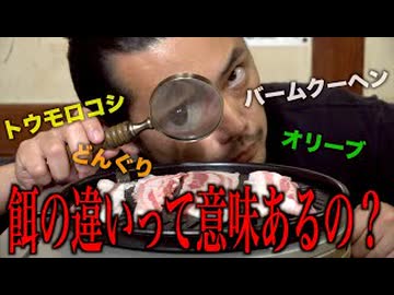 豚が食べたもの当てられますか？