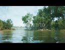 Serene River Landscape with Lush Trees and Mist in the Early Morning Light