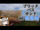 【VOICEVOX東北きりたん車載】ブラックバスサンドを琵琶湖で食べてきた【追走動画】