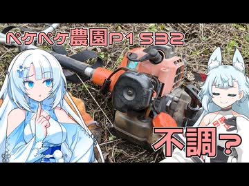 2025年11月2日　農作業日誌P1532　イノシシ襲来と対策どうしようかな？