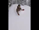 埋もれる！