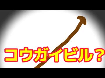 【雑談】コウガイビルに遭遇【ASMR・心音・黒耳】