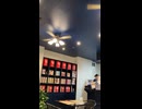 YOLO CAFE