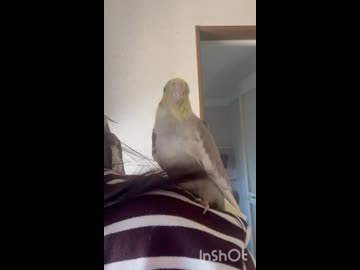 水浴びの後は□