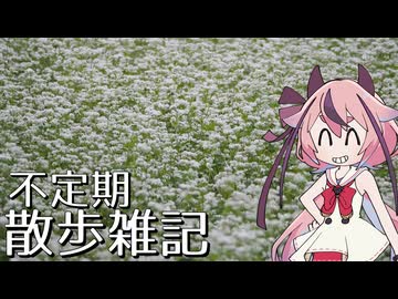 不定期散歩雑記_75 - 曇りの日のお写ん歩