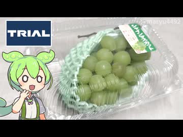 トライアルで買った秋の味覚「シャインマスカット（1280円）」