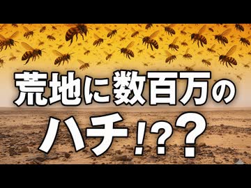 数百万の蜂が不毛な農地を驚異的に変えた理由【解説動画】
