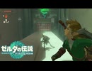 【ゼルダの伝説 ティアーズ オブ ザ キングダム】女神の剣は王国と共に泣く#27
