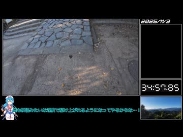 【RTA】一般人が高尾山(稲荷山ルート)にリアル登山アタック35：1６