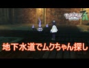 地下水道でムクちゃんを探す　Pokemon LEGENDS ZーA実況プレイPart14