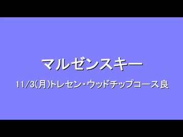 【MMDウマ娘】マルゼンさんは産駒と隊列調教したい