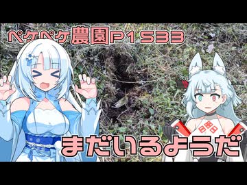 2025年11月3日　農作業日誌P1533　イノシシ対策二日目は、追加の対策をするぐらいしかできなかった