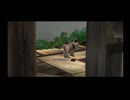 【忍道戒】今更敵の狙いを知る実況プレイ part23