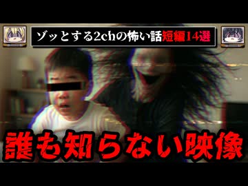 【不気味な映像】2chのゾッとする怖い話、短編14選【ゆっくり解説/作業用BGM】