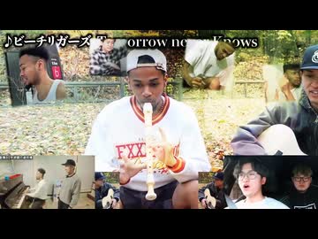 メイプルワイジュン