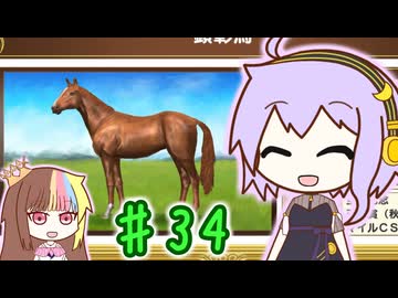 馬主のゆかりさん part34【ダビスタswitch】