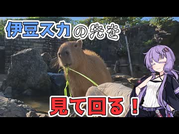 【VOICEROID車載】伊豆スカイラインを抜けた先！山や動物園を楽しもう