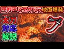 歴戦王ヌエグドラの地面爆発の太刀での対処法解説