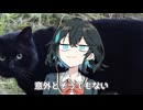個人的にハマってる動画のパロディ.mp4