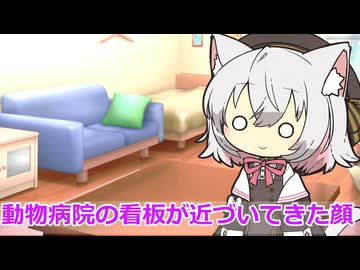 【ボイスロイド劇場】メスの顔←→動物病院が近づいてきた顔