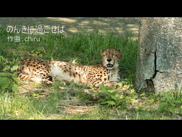 【素材BGM】 やる気ないのかな……「のんきに過ごせば」【フル×２】