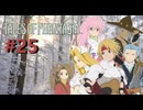 悲しみの涙を剣に変え、” 伝説 ”はここから始まった　－25節目－【テイルズオブファンタジア】