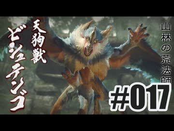 はじめてのモンハンを夜な夜な実況#017