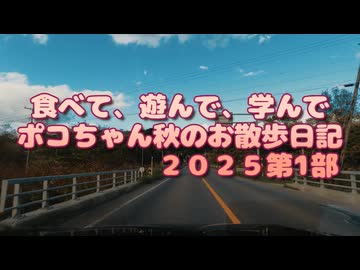 【前編】2025秋のお散歩日記