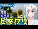 【ゆっくりボイピ車載】夏の終わりの山中湖道志宮ケ瀬～その2【9分間の休日】