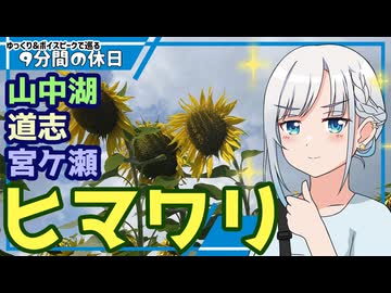 【ゆっくりボイピ車載】夏の終わりの山中湖道志宮ケ瀬～その2【9分間の休日】