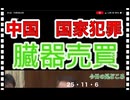 25・11・6   こんな恐ろしい国とは　異文化共生など　出来ません。