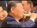 ホモと見る韓国の伝統的な酒を不味そうに飲む習近平