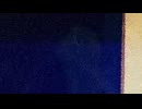 おめでとうございます「心霊アンノウン　投稿者不明の呪われた動画10本 7」