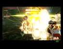 ⌘プレイアーカイブ⌘ ハイラル無双 その79
