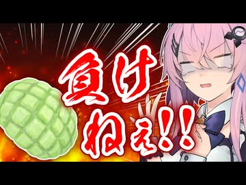 フィーちゃんVSメロンパン【ソフトウェアトーク劇場】