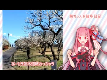 お前ら梅の精霊やめろ