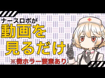 ナースロボがお出かけ中に撮った動画を見るだけ