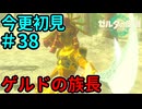 強く、大きく【ゼルダの伝説 ティアーズ オブ ザ キングダム】Part38