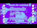 【Rhythm Master (リズムマスター) /回帰2周年記念】Sounds of the MagnuM【セルフマッシュアップ】