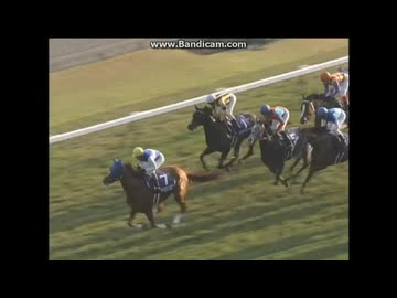 2007 エリザベス女王杯 (GI) ダイワスカーレット - ニコニコ動画