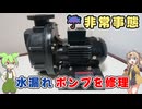 水が漏れるポンプを修理しないと眠れない部屋