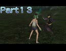 【ファイアーエムブレム無双】【リョナ】【チキ】攻撃を食らう直前に最初からやり直そうとするも・・・ Part１３